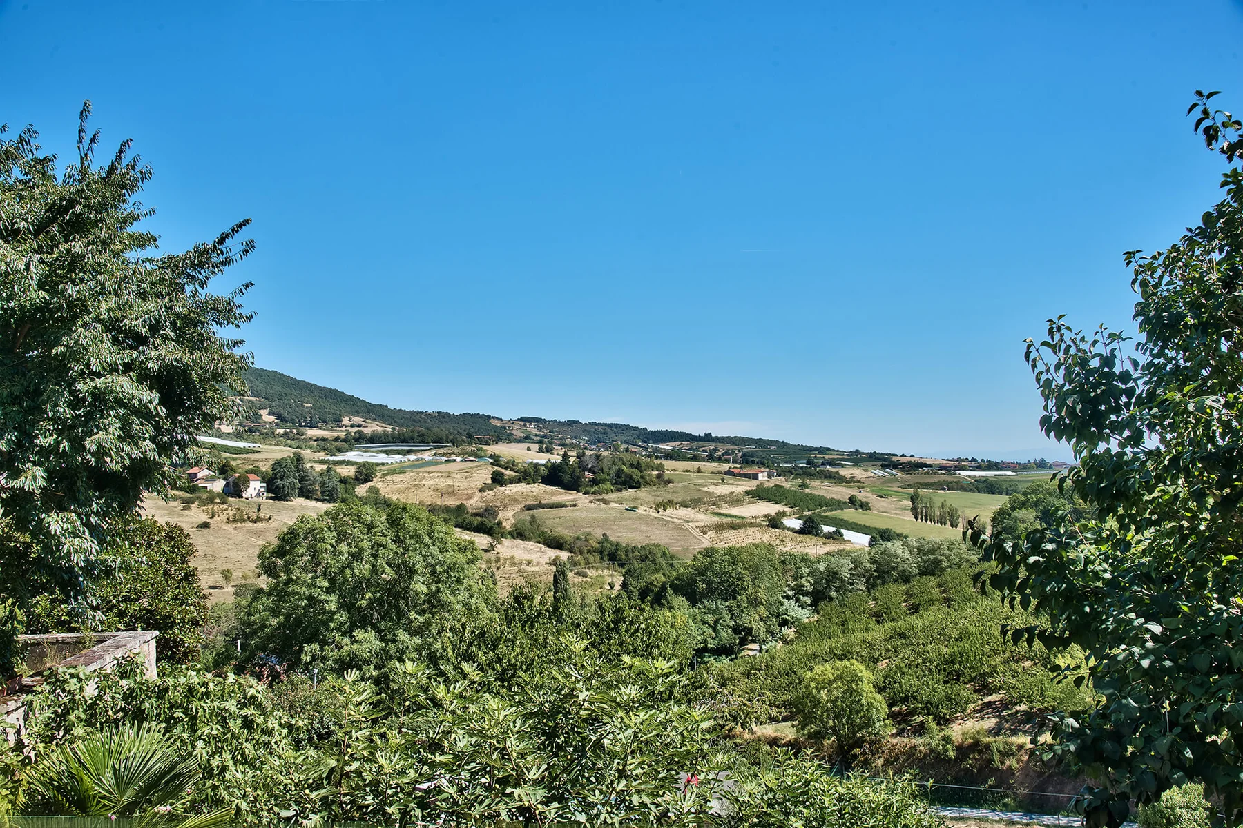 Vue sur les paysages des Monts du Lyonnais depuis le gîte